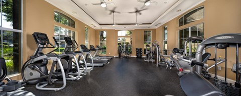A gym with a row of treadmills and elliptical machines.