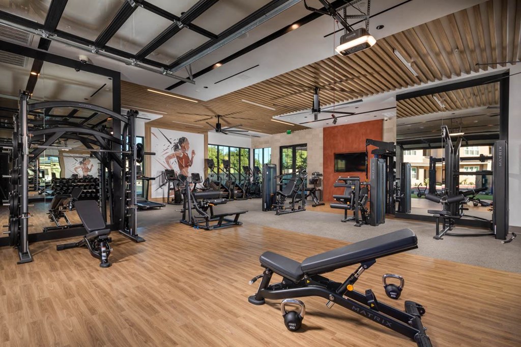 A gym with a variety of equipment including weights and benches.
