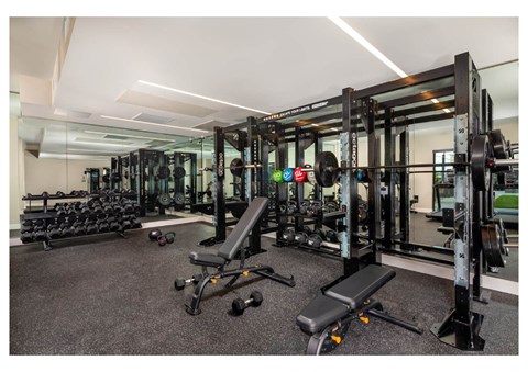 A gym with a variety of equipment including weights and a bench.