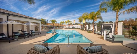 A pool surrounded by palm trees and lounge chairs.