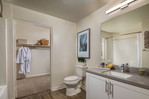 A bathroom with a toilet, sink, and a mirror.
