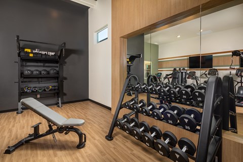 a gym with a rack of weights and a chair