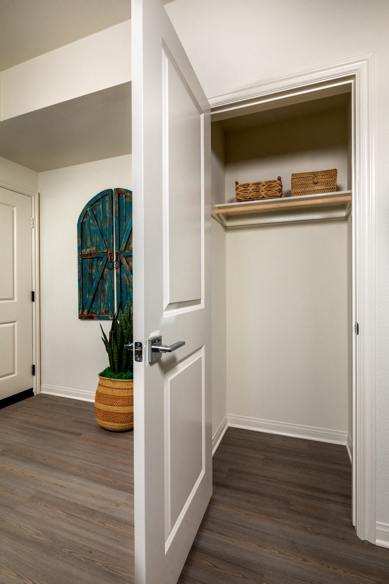 a hallway with an open door and a potted plant on the floor