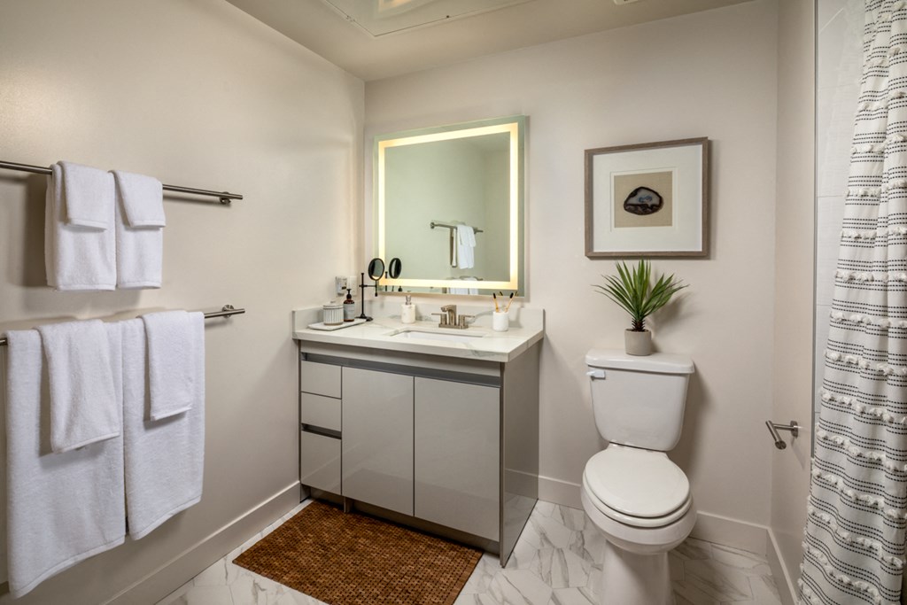 a bathroom with a toilet and a sink and a mirror