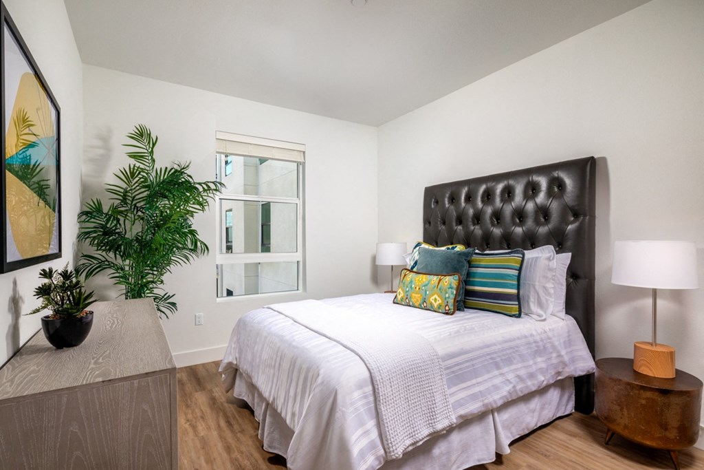 a bedroom with a bed and a plant and a window