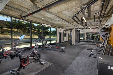 A gym with a row of stationary bikes and a weight rack.