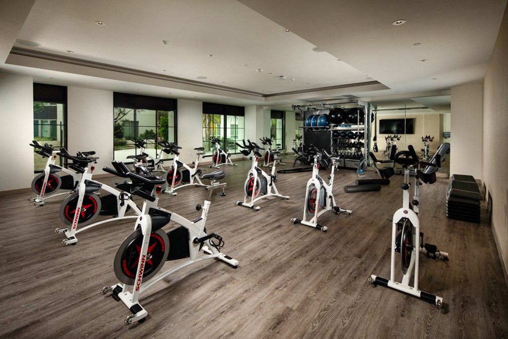 a large fitness room filled with cardio bikes and other exercise equipment