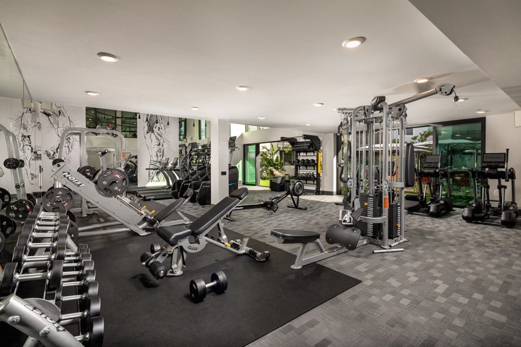 a gym with cardio machines and weights on the floor