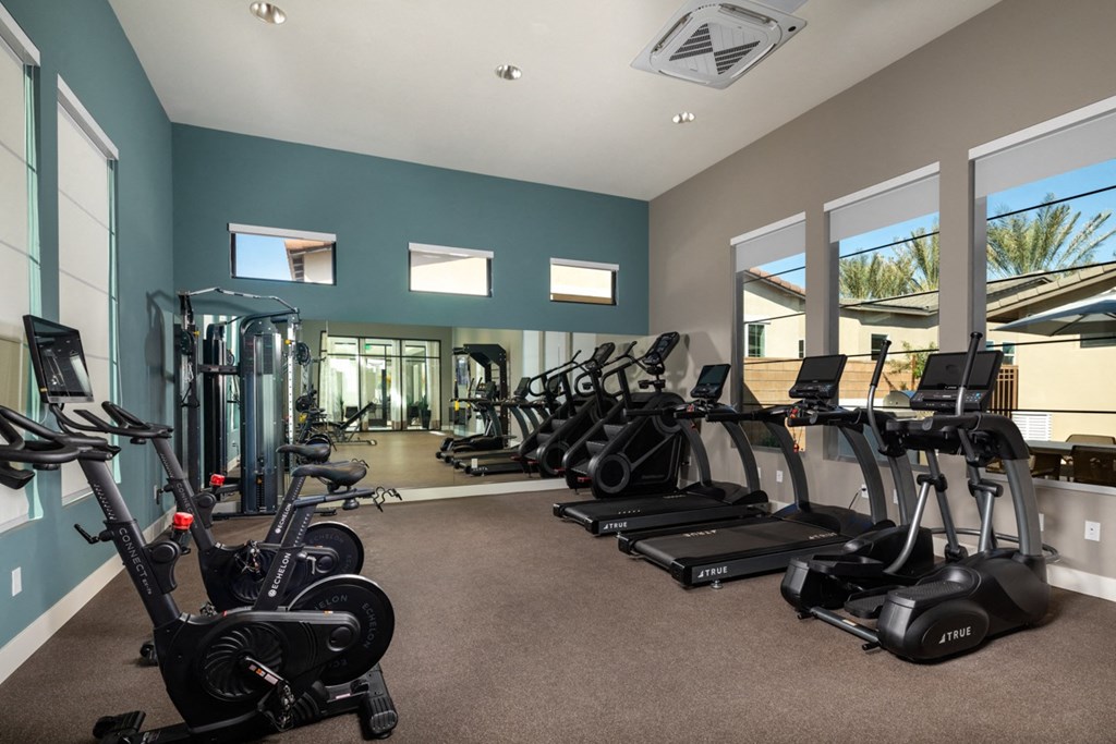 the gym has plenty of exercise equipment and windows