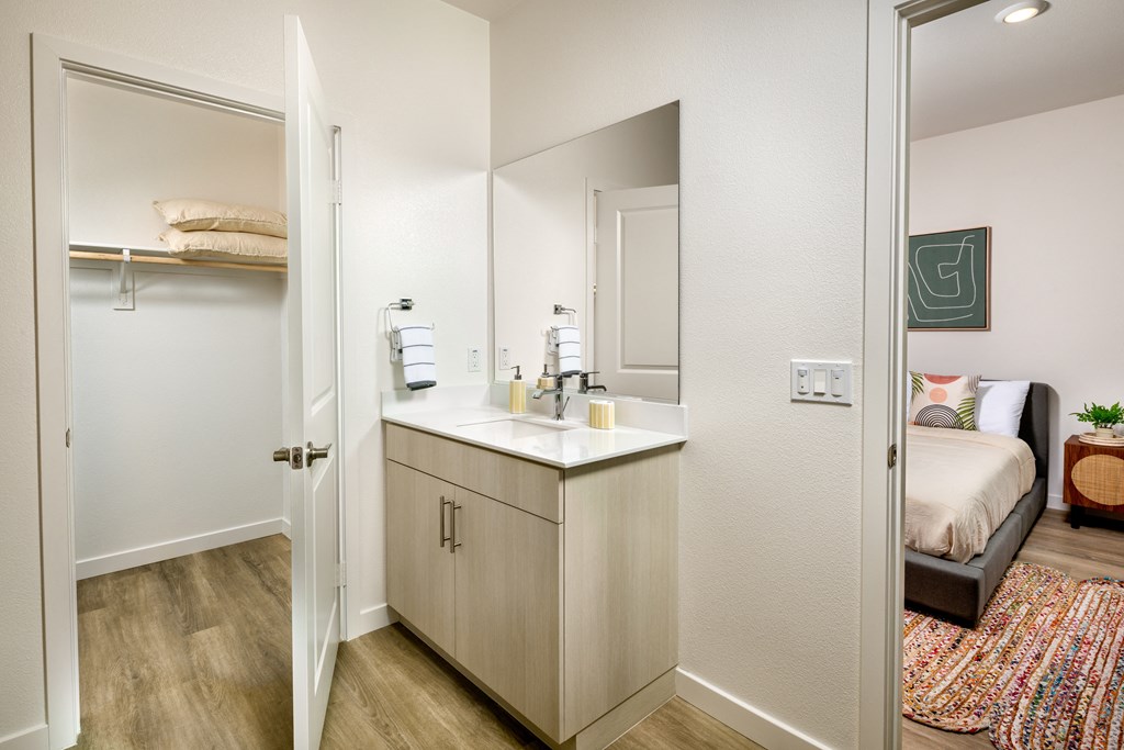 a bathroom with a sink and a mirror and a closet