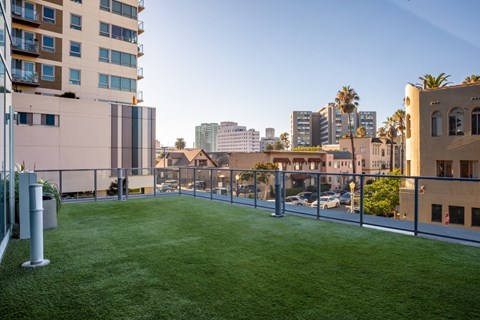 a communal grassy area with a view of the city