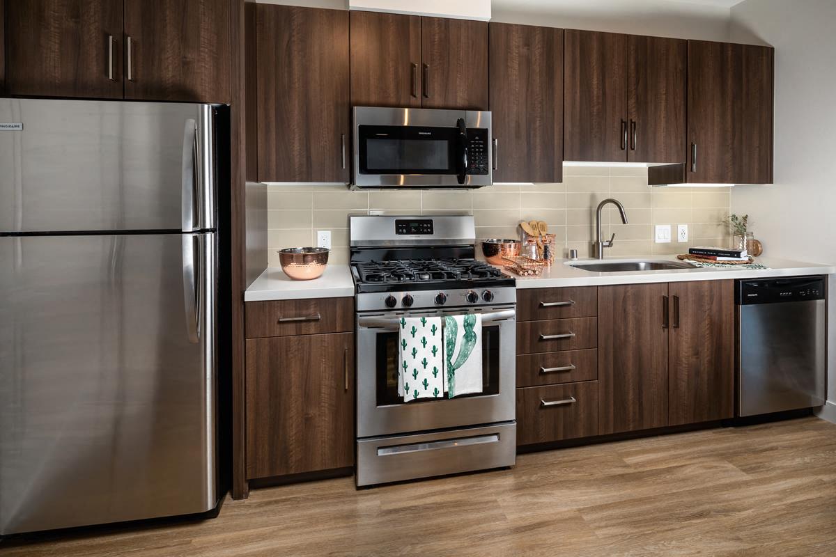 Plank Flooring & Stainless Steel Appliances