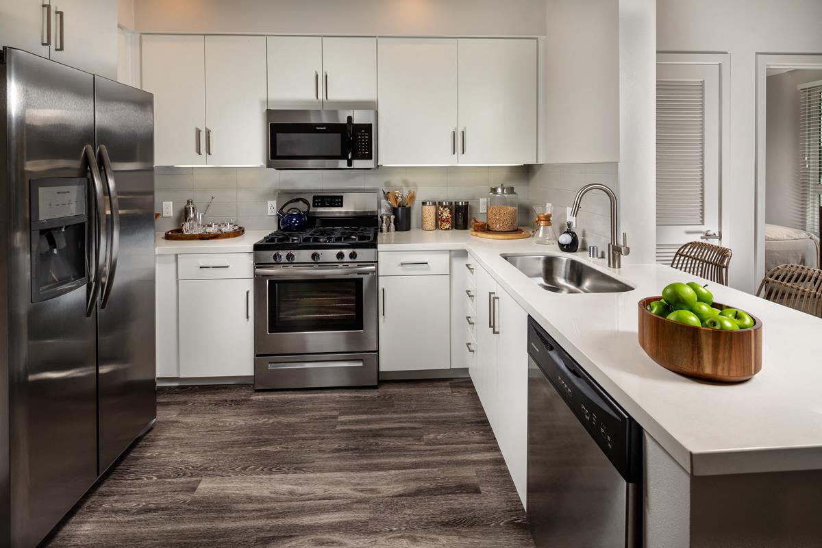 Quartz Countertops & Stainless Steel Appliances