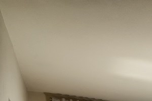 44 N. Madison Avenue Studio-2 Beds Apartment for Rent Photo Gallery 8