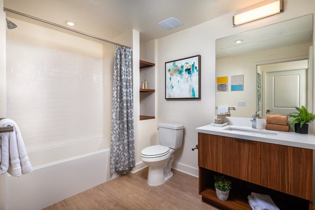 a bathroom with a shower toilet and sink and a mirror