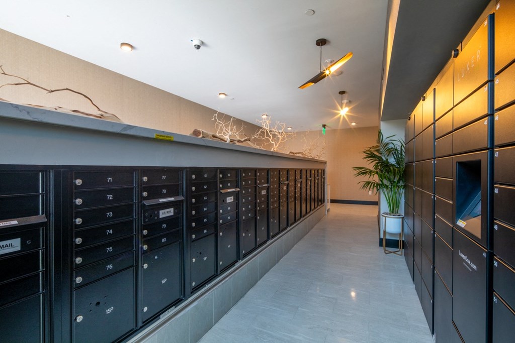 a view of the mailboxes and a plant in the corner of the room at VORA LUX, San Diego California