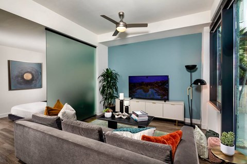 A living room with a grey couch and a blue wall.