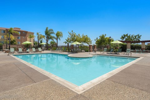 A large swimming pool surrounded by palm trees and lounge chairs.