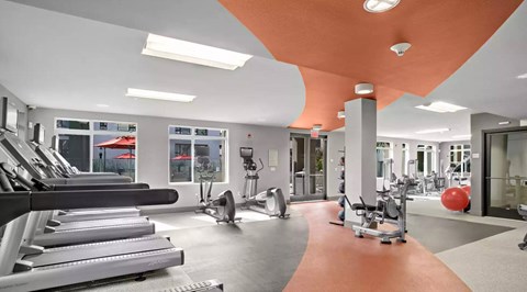 Gym with cardio and weights
