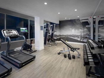 Gym - Photo Gallery 13