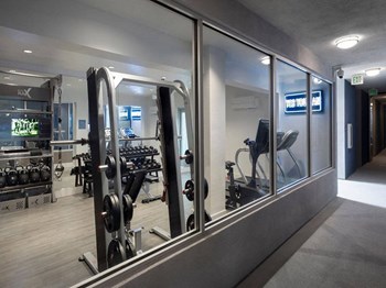 Gym - Photo Gallery 12