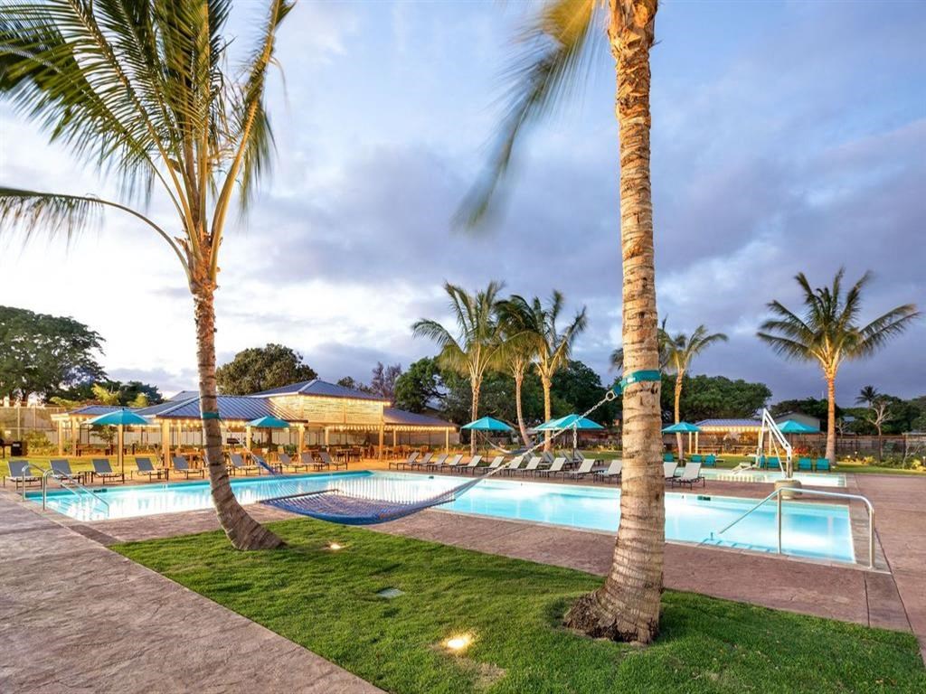 a swimming pool with palm trees and chairs around it