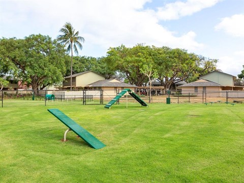 a park with a slide and a bench in the grass