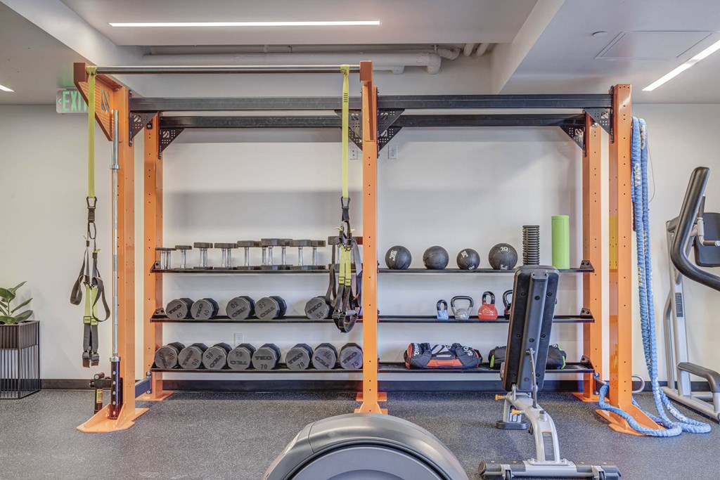 Free weights and exercise equipment