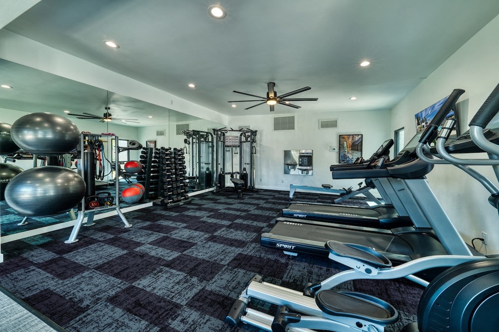 a home gym with weights and cardio equipment