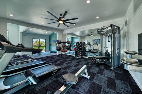 a home gym with weights and cardio equipment
