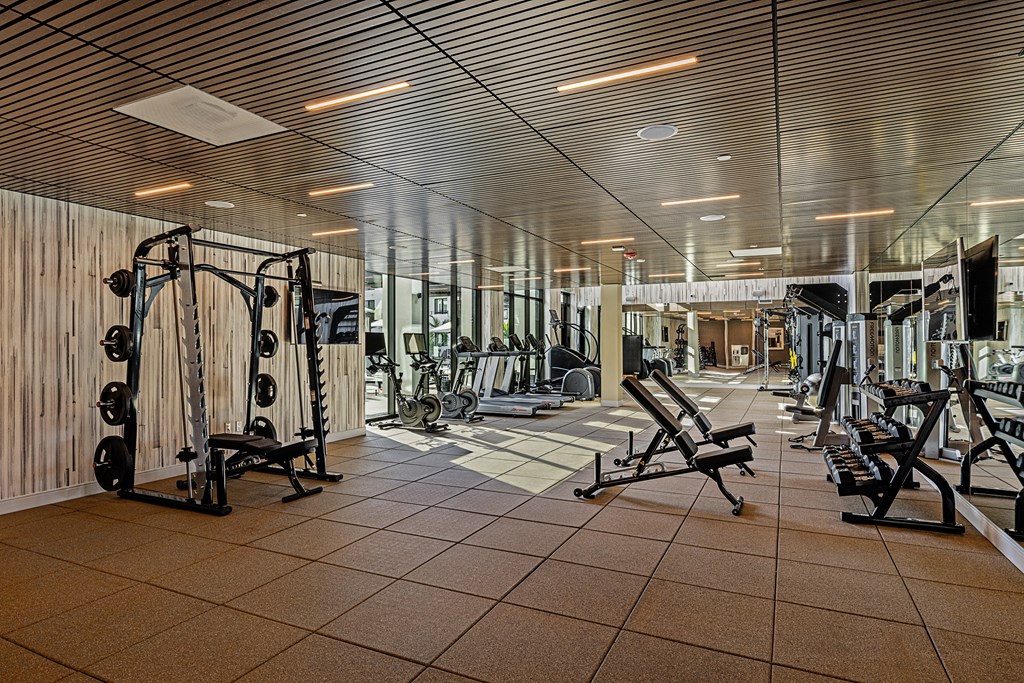 a gym with a lot of weights and cardio equipment
