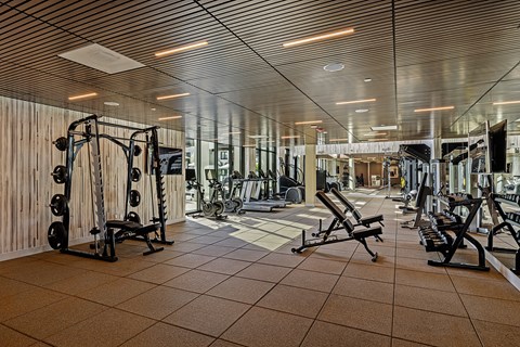 a gym with a lot of weights and cardio equipment