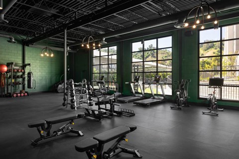 A gym with a variety of equipment including treadmills, weights, and benches.