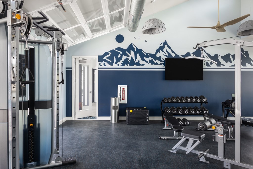 a gym with blue walls and a mountain mural on the wall