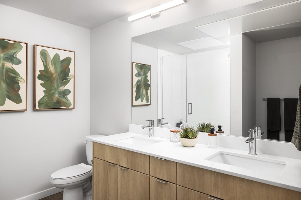 A bathroom with a white counter and a toilet.