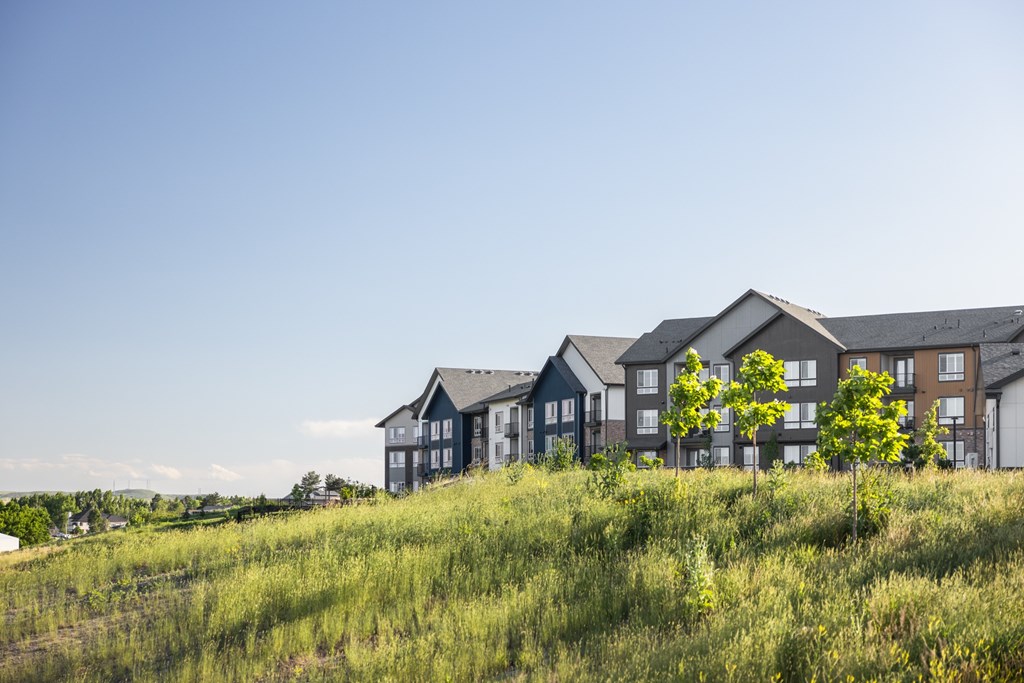 A row of houses with greenery in front.
