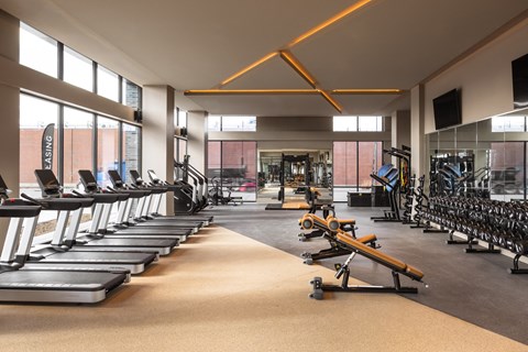 Fitness center with treadmills and other exercise equipment and windows