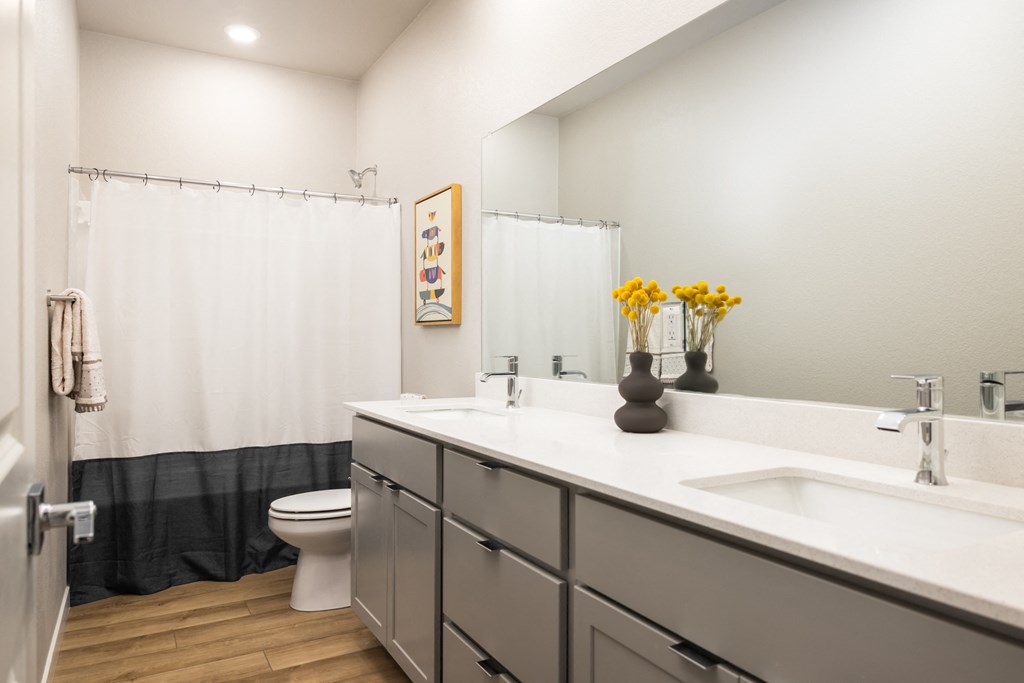 a bathroom with a sink and a toilet