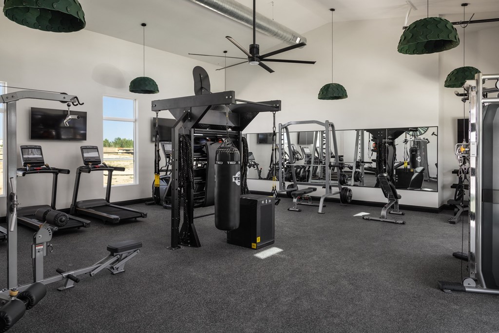 a gym with weights and cardio machines and a tv