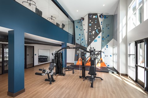 Gym with exercise equipment