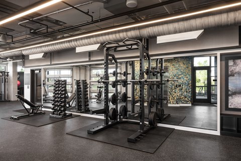 A gym with a variety of equipment including a squat rack, bench press, and a rowing machine.