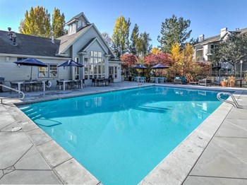 Pool Area - Photo Gallery 19