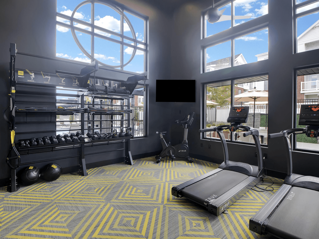 Ely At American Fork