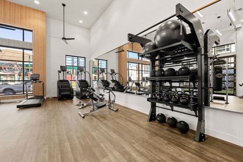 the gym at the flats at big tex apartments