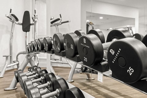 a rack of dumbbells in a gym