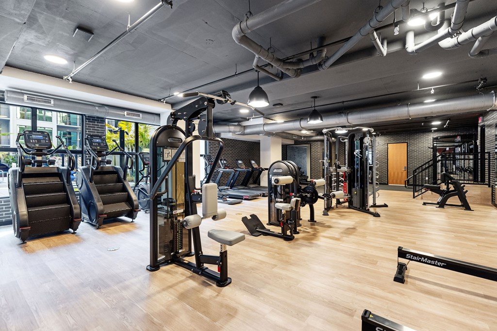 A gym with a variety of equipment including treadmills, weights, and a bench press.