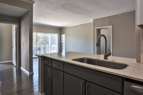 A kitchen with a sink and cabinets.