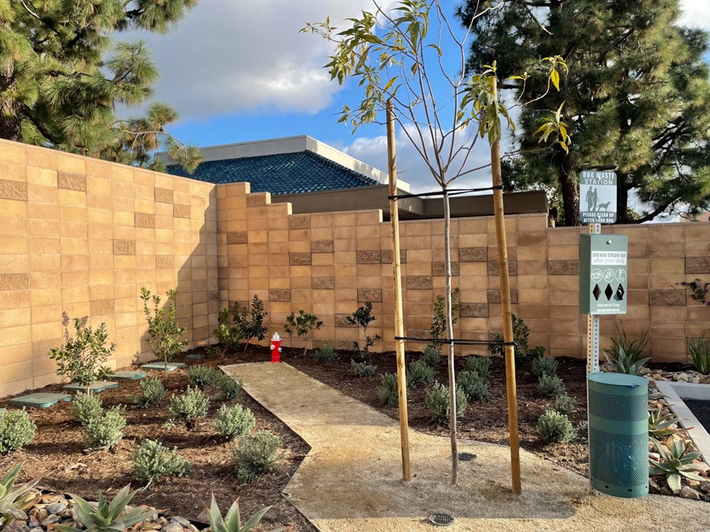 Azul Chula Vista Dog Run