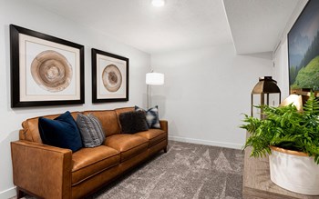basement living room - Photo Gallery 21