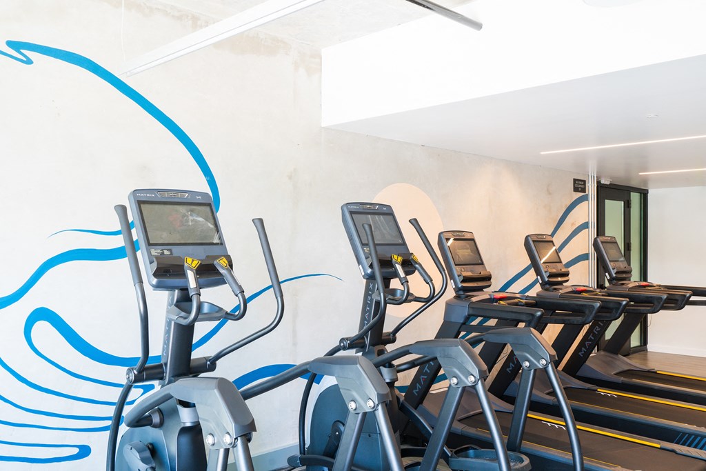 a row of cardio machines in a gym